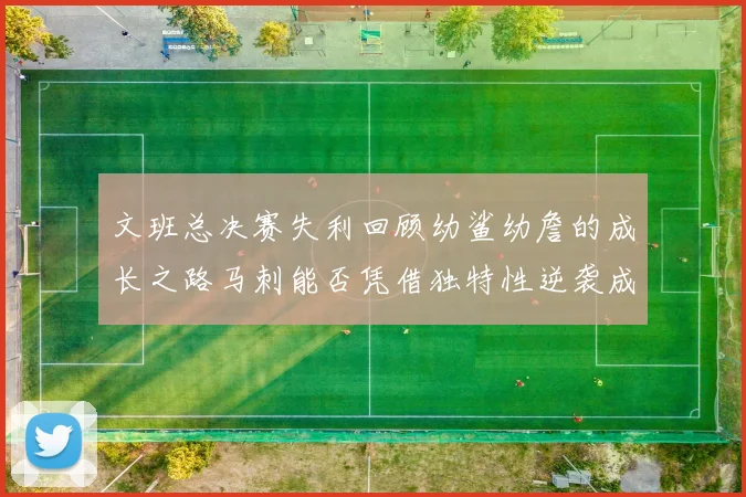 文班总决赛失利回顾幼鲨幼詹的成长之路马刺能否凭借独特性逆袭成功